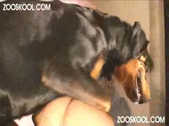 Ohknotty petite girl cums after having sex with a k9